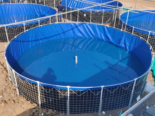 biofloc fish farming tank