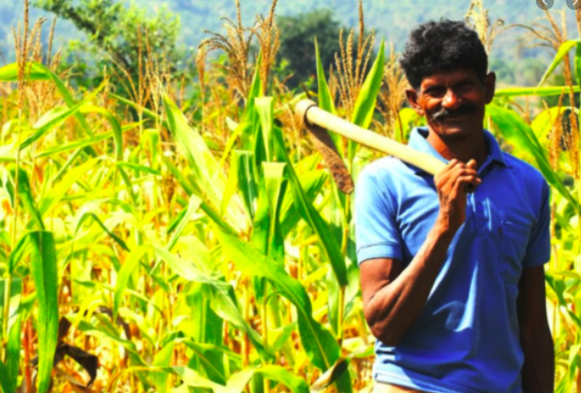 Benefitted from PM-KISAN yojana