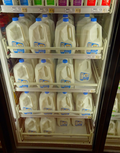 dairy cow milk