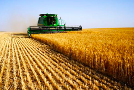 modern farming field