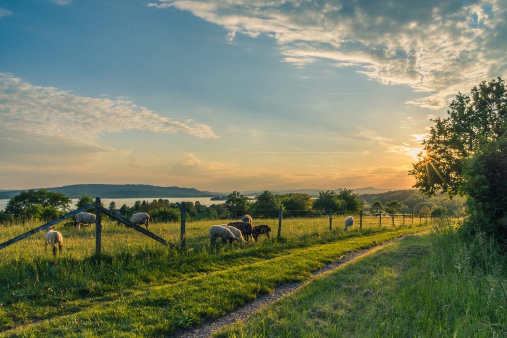 Natural farming