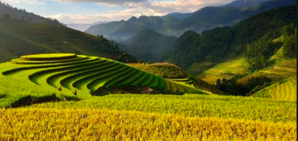 Terrace farming land