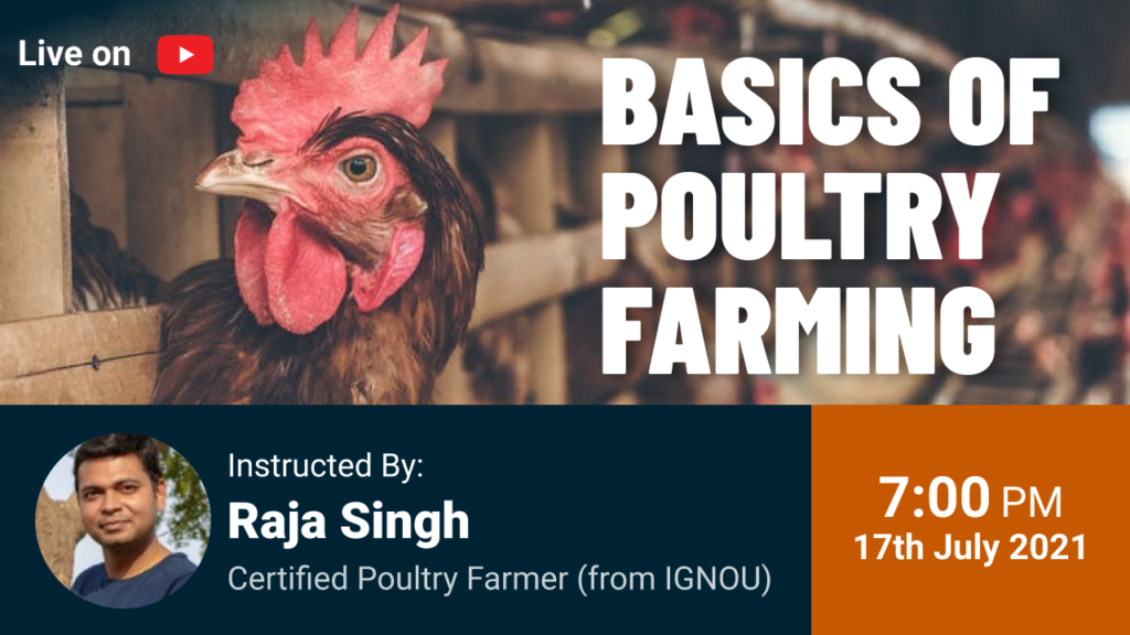 Basics of Poultry Farming
