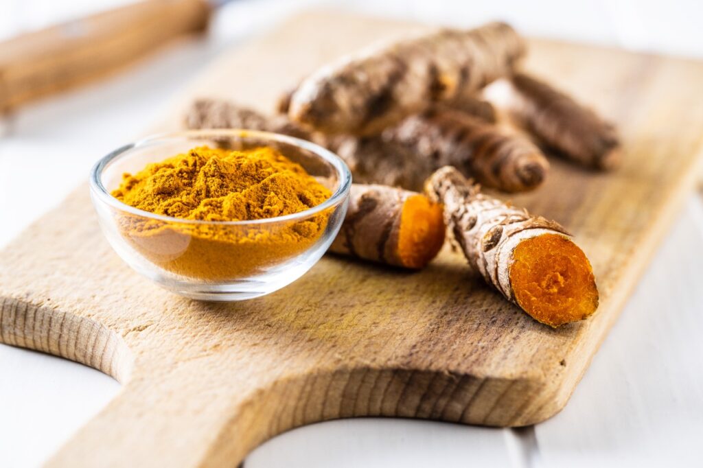 growing turmeric hydroponically