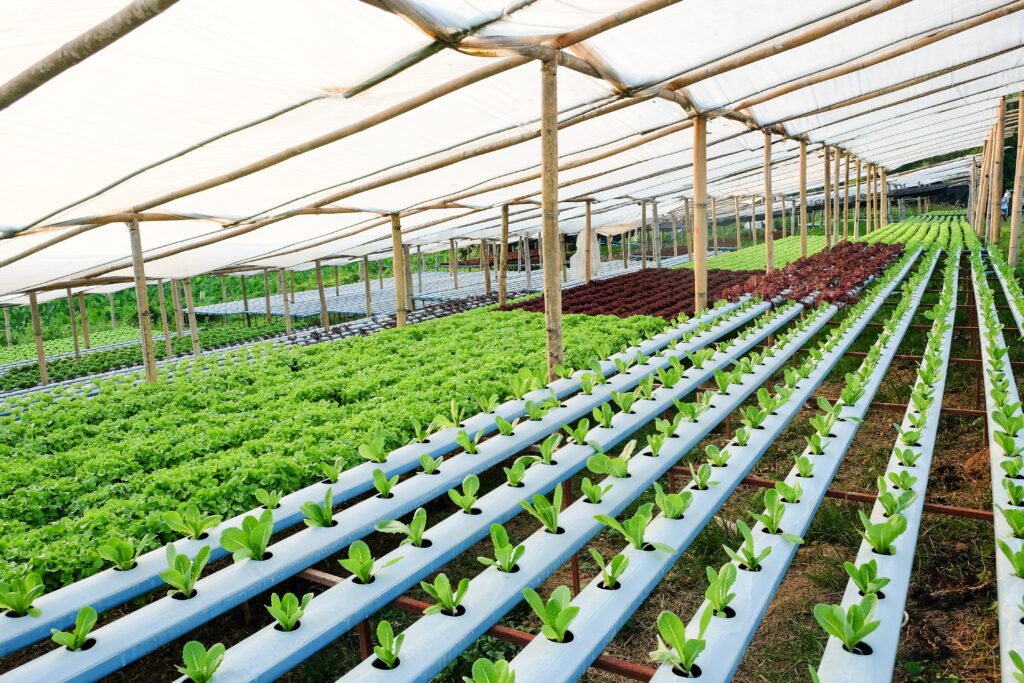 Hydroponics farm