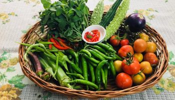 Organic Farming