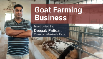 Goat Farming course by Mr. Deepak