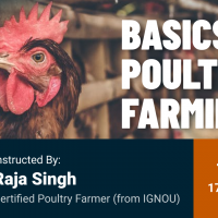 Basics of Poultry Farming