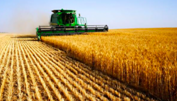 modern farming