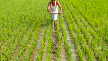 farm equipment