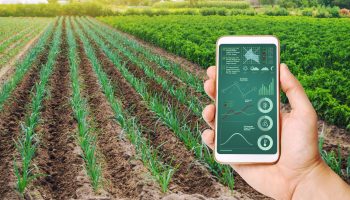 Agribusiness